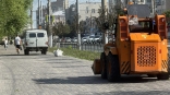 На проспекте Карла Маркса в центре Омска меняют погибшие деревья