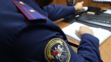 В Омской области бабушку забили до смерти топором