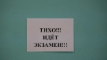 Стало известно, сколько омских выпускников пойдут на пересдачу ЕГЭ