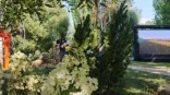 В омском Минприроды сделали заявление после противоречивых отзывов о «Флоре»