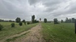 В омской «Птичьей гавани» легализуют новый пешеходный маршрут