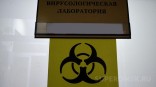 Район Омской области «зачистили» от нескольких вирусов