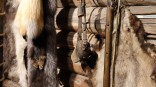 Лапухин-младший возглавил охотничье хозяйство в Омской области