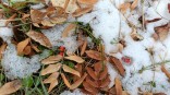 На Омскую область уже передали циклон с похолоданием и первым снегом