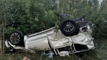 Два пассажира «Лексуса» погибли в ДТП под Омском