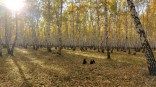 В Омске после заморозков начнется потепление