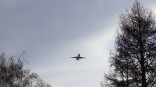 После полетных ограничений из Омска не может вылететь борт на север