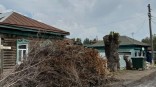 Суд запретил омичам выбрасывать ветки в мусорный баки