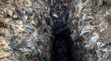 Омичка годами собирала мусор с помоек на своем участке: уборка обошлась в 1,1 миллиона
