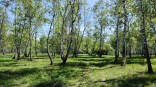 В омском Управлении по охране животного мира сменился директор