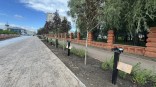 Первая аллея олимпийцев переехала на новую набережную в Омске
