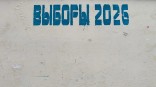 Квартиры омичей начнут обходить перед выборами