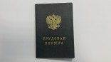Омичей переводят на электронные трудовые книжки