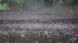 После мощного ливня с омских улиц откачали 800 кубометров дождевой воды