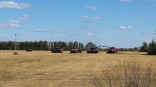 Омский район первым в регионе завершил уборку озимых и гороха
