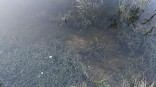 В нетрезвом виде упал в воду: омич умер в дагестанском водохранилище