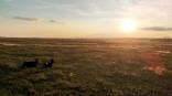 К Омской области приближается первое осеннее похолодание с осадками