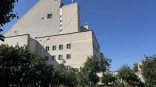 У Музыкального театра в Омске на яблоне появились плоды в разгар лета