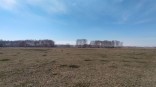 Омские ученые займутся вторжением червей
