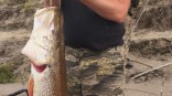 Омский рыбак поймал в Иртыше огромную 20-летнюю щуку