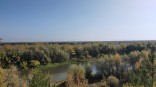 В Омской области официально объявили бабье лето
