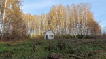 Омского риелтора обвиняют в махинациях с участками «под родовое гнездо»