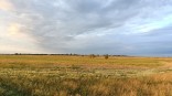 Синоптики дали прогноз по срокам наступления бабьего лета в Омской области