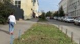 В Омске начали снос деревьев ради парковки на Чкалова