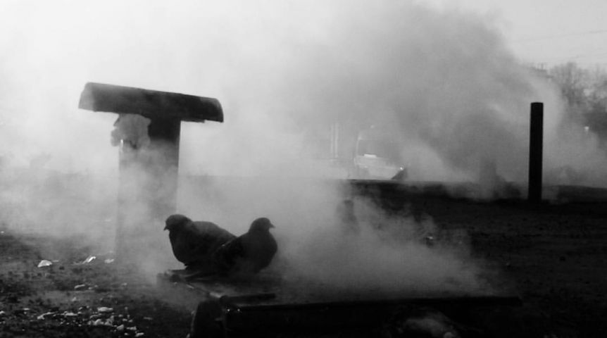 Фото: Денис Лопарёв