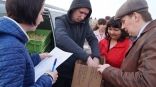 Иллюстрация к материалу Иллюстрация к материалу