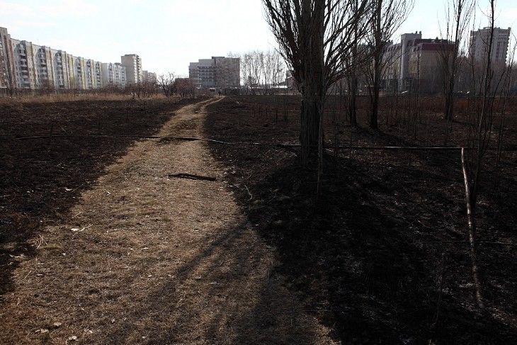 В Омске на Левом берегу горела станция юннатов