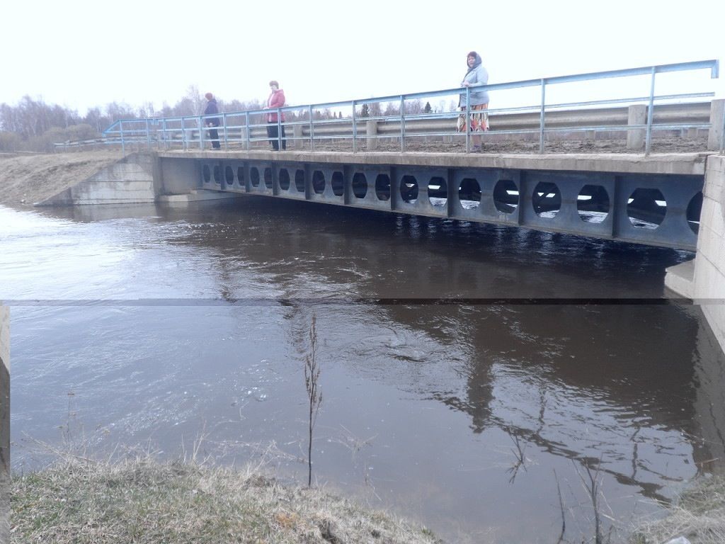 Ежегодное поднятие уровня воды в реке. Васисс Омская область. Васисс фото.