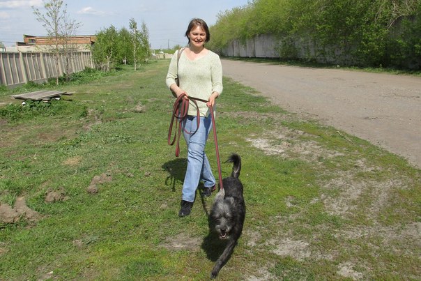Трехногий пес Кирюша эмигрирует из Омска в Канаду с новой хозяйкой Трехногий пес Кирюша эмигрирует из Омска в Канаду с новой хозяйкой