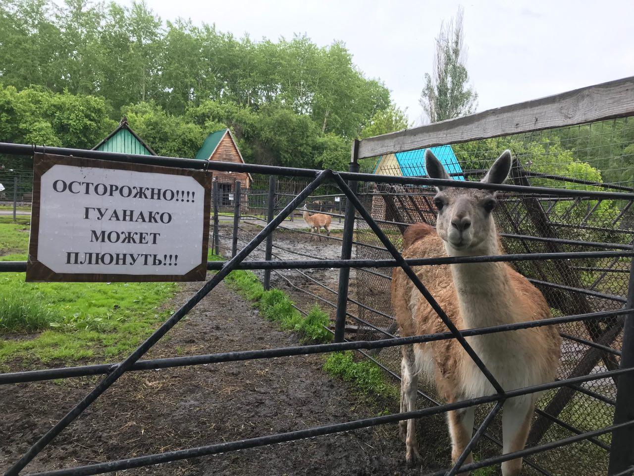 зоопарк в омске