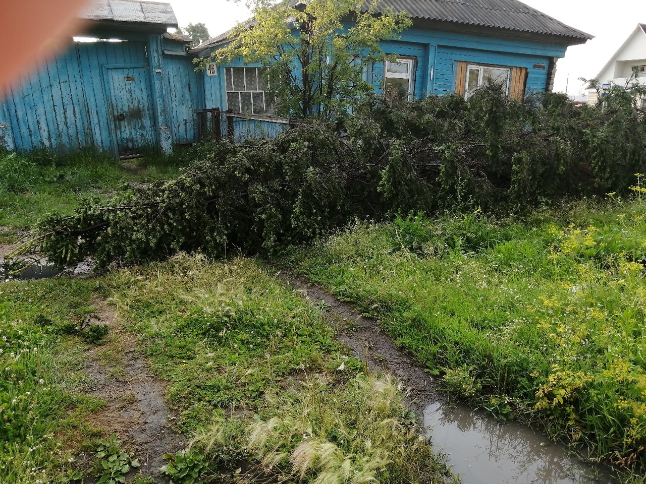 По северу Омской области прокатился мощный шторм – фото По северу Омской области прокатился мощный шторм – фото