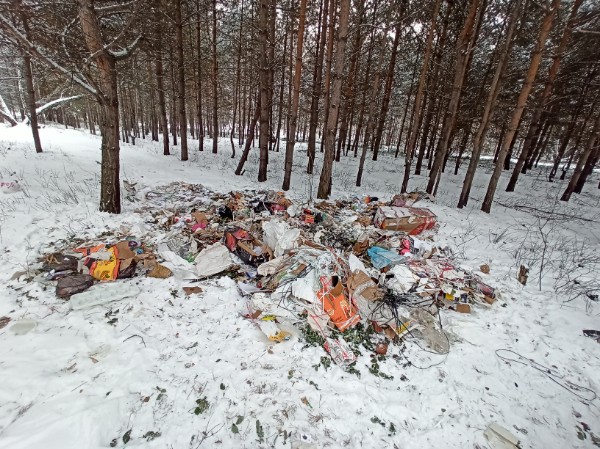 Омичи во время прогулки по лесу наткнулись на гору цветочного мусора с документами предпринимателя Омичи во время прогулки по лесу наткнулись на гору цветочного мусора с документами предпринимателя