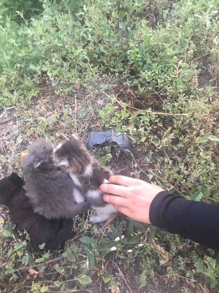 Пожар в центре Омска