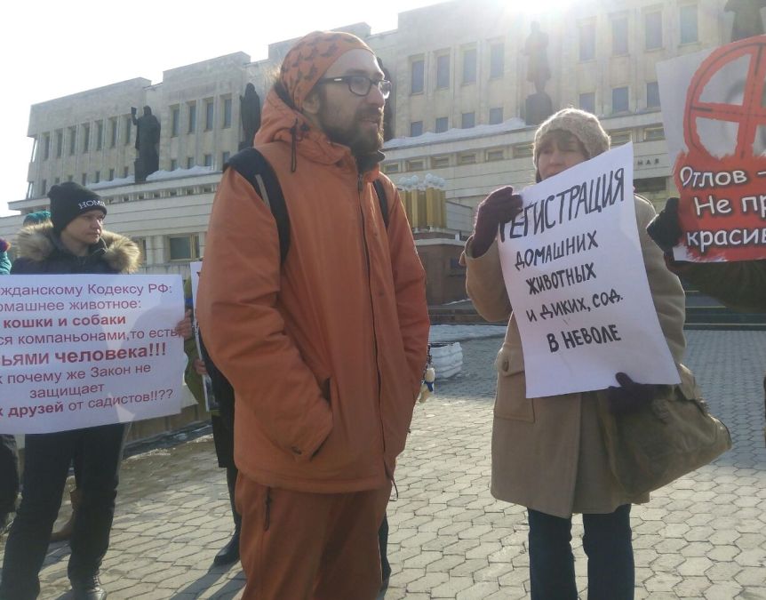 В Омске зоозащитники потребовали регистрации домашних животных В Омске зоозащитники потребовали регистрации домашних животных