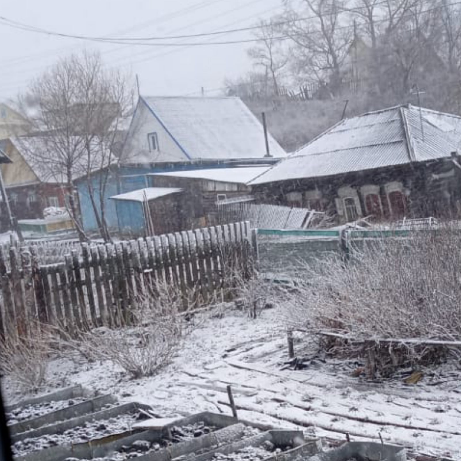 Омск выпал снег