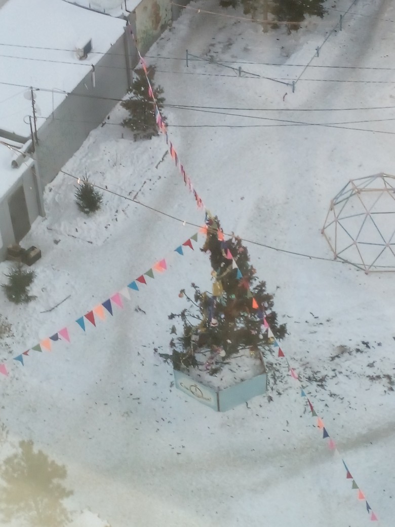 К Новому году в омском дворе установили общипанную елку К Новому году в омском дворе установили общипанную елку