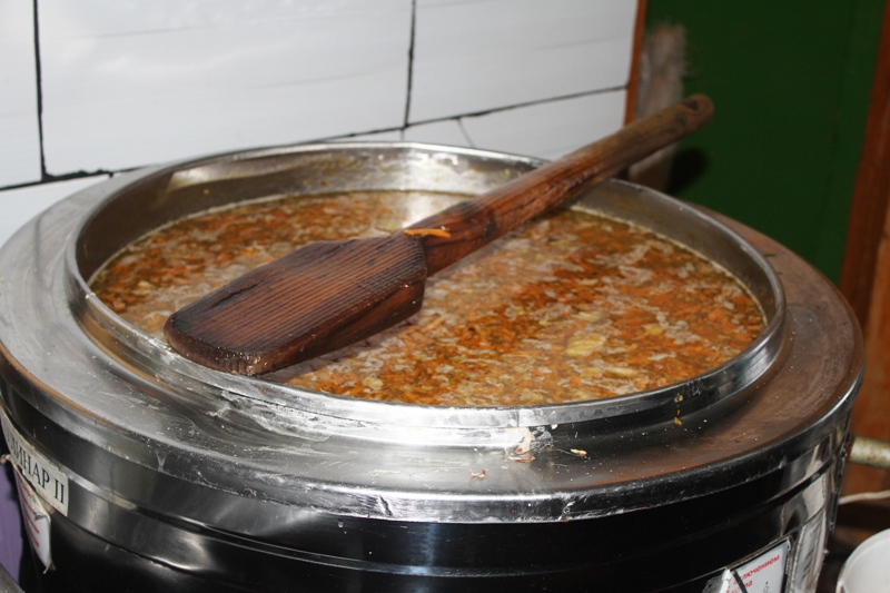 Специальный репортаж: собаки, которые обречены быть любимыми Специальный репортаж: собаки, которые обречены быть любимыми