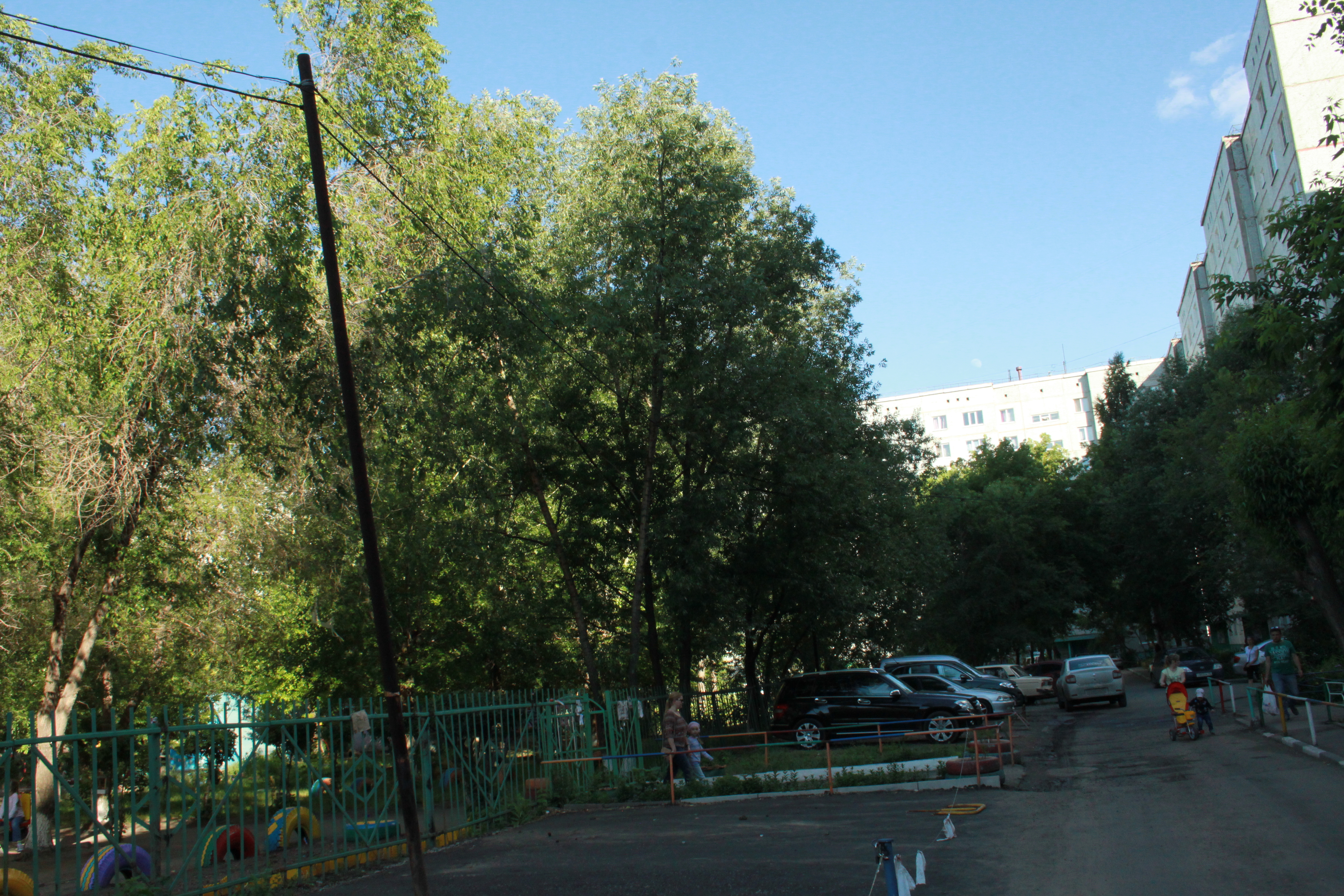 «Оплот» поможет омичам в борьбе с высоковольтной линией вблизи детского сада