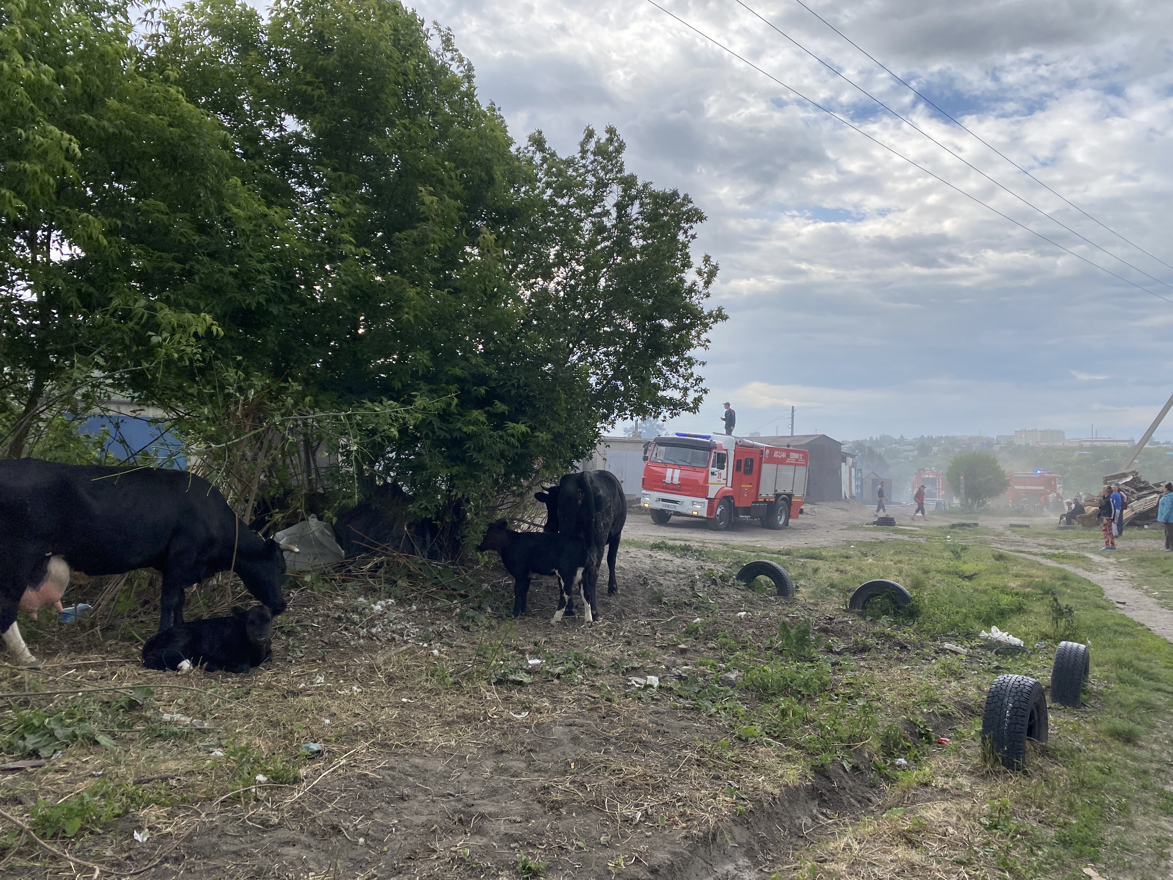 Уничтоживший дома пожар в Омске пошел от навозной кучи | 12.06.2021 | Омск  - БезФормата