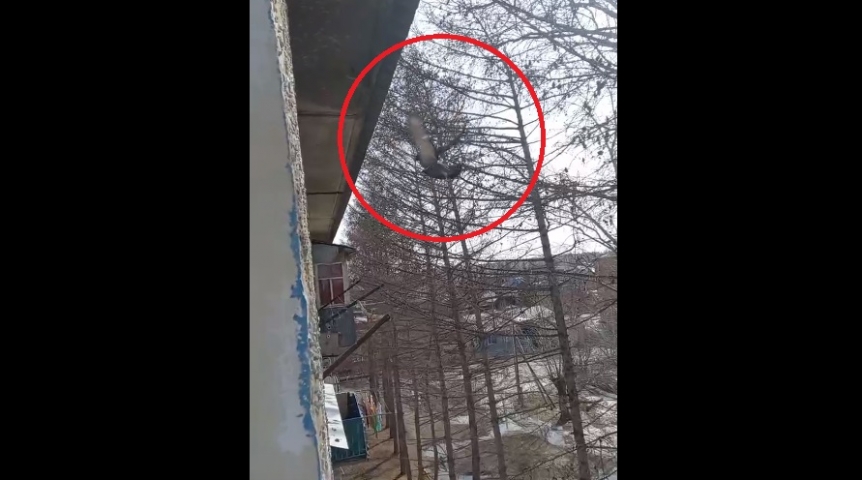 Квартира омичей перешла в наследство голубям