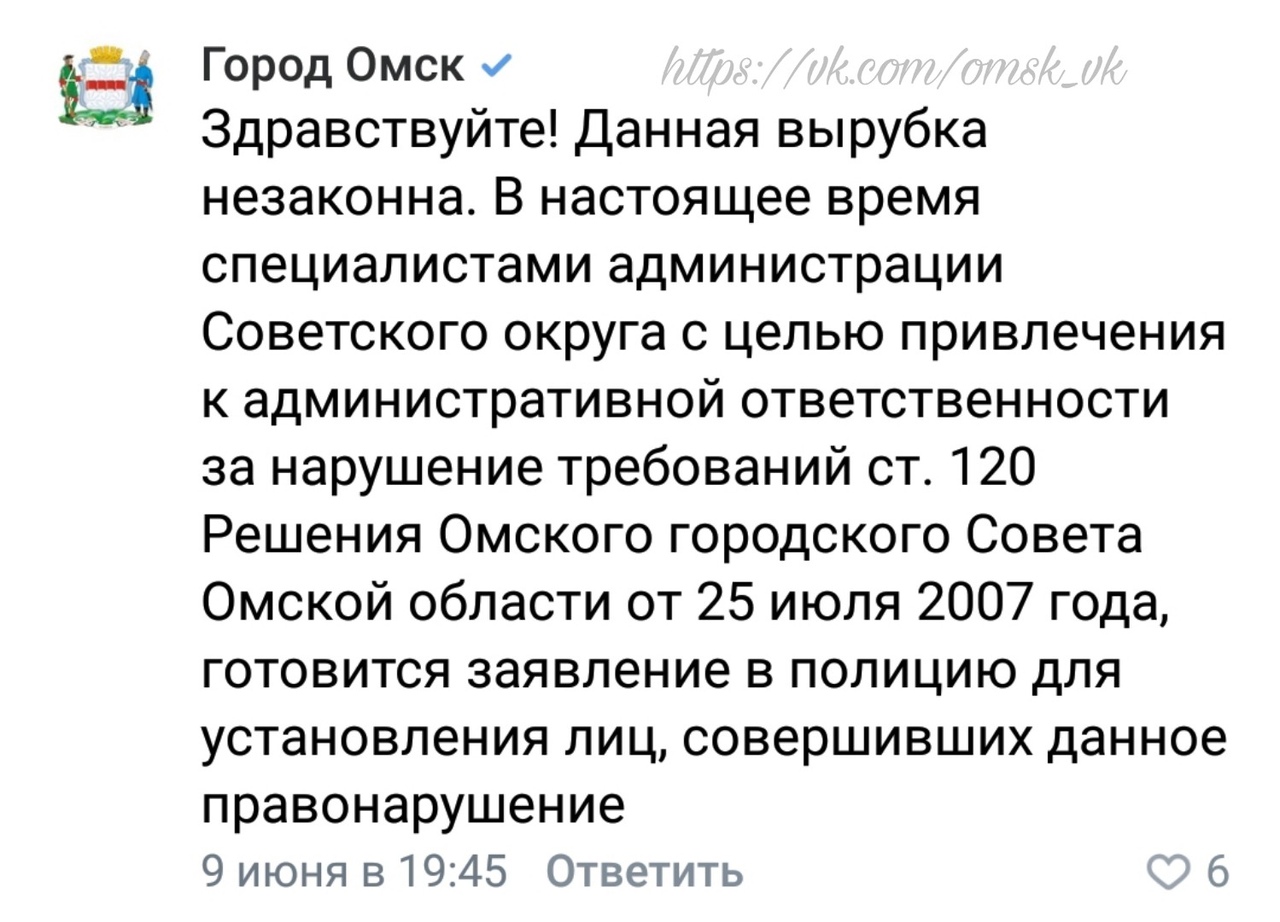 В Омске на месте вырубки деревьев началась стройка В Омске на месте вырубки деревьев началась стройка