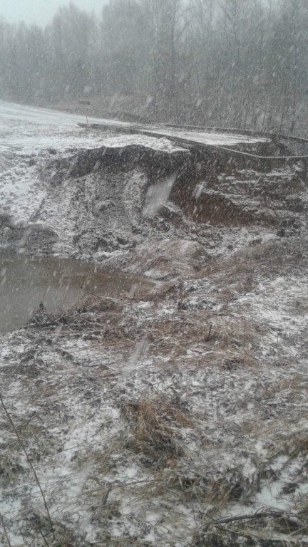 Мост из Муромцево в Низовое