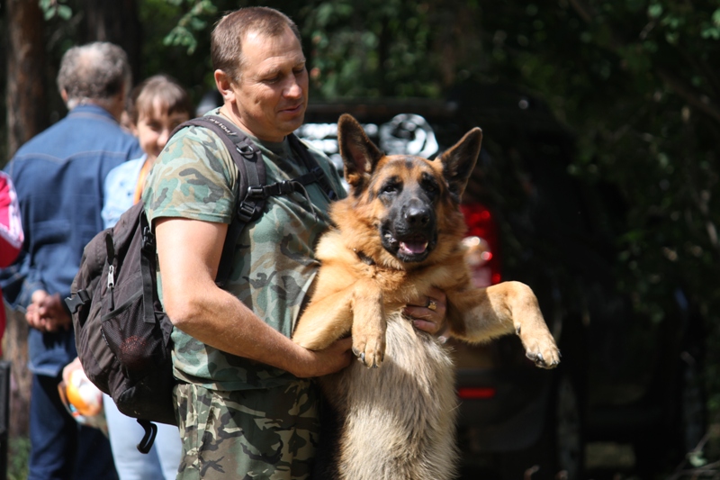 Выставка собак в Омске