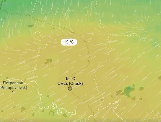 Погода омская область р