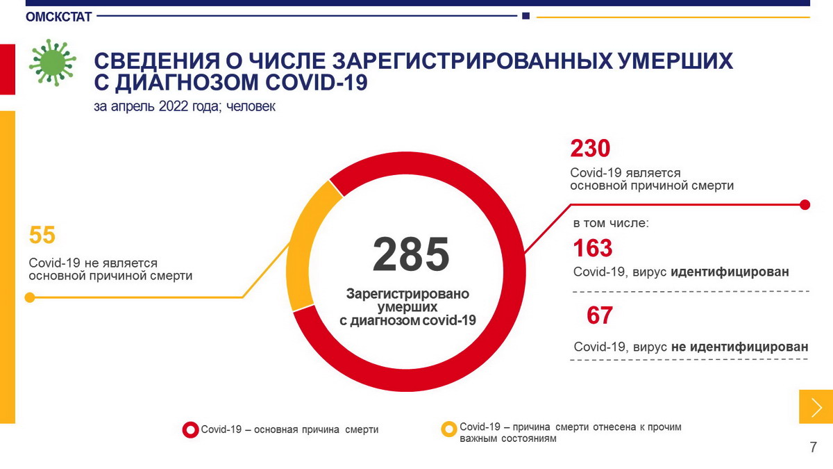 Статистики открыли противоречивые данные по смертности в Омской области Статистики открыли противоречивые данные по смертности в Омской области