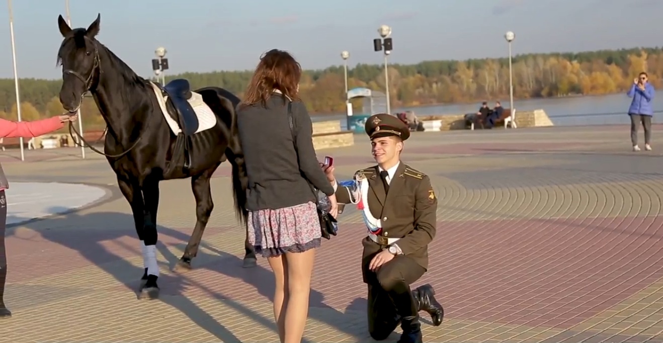 Лошадь предложение. Предложение про лошадь. Предложение на коне. Предложение руки и сердца на лошадях. Девушка на коне и офицер.